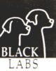 Black Labs Technologies LLC